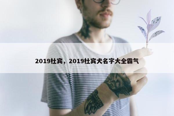 2019杜宾，2019杜宾犬名字大全霸气