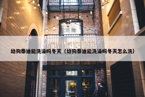 幼狗泰迪能洗澡吗冬天（幼狗泰迪能洗澡吗冬天怎么洗）