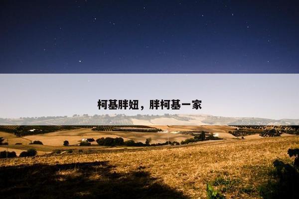 柯基胖妞，胖柯基一家