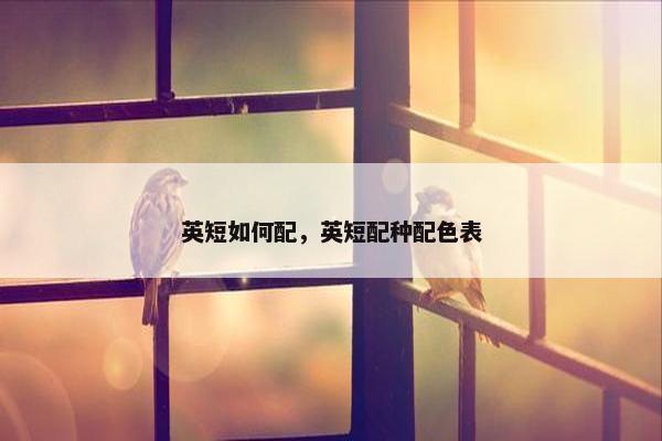 英短如何配,英短配种配色表