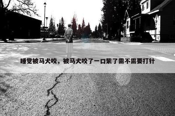 睡觉被马犬咬,被马犬咬了一口紫了需不需要打针