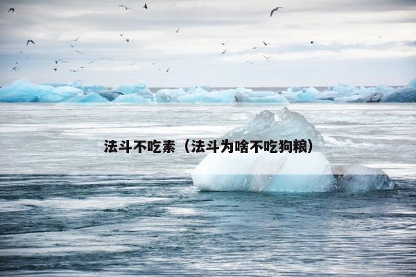 法斗不吃素（法斗为啥不吃狗粮）