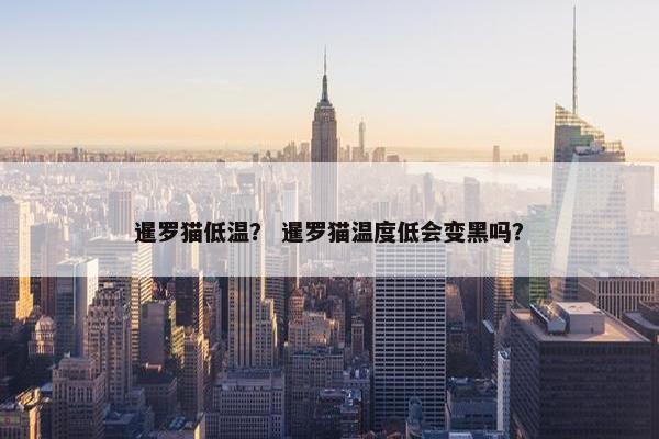 暹罗猫低温？ 暹罗猫温度低会变黑吗？