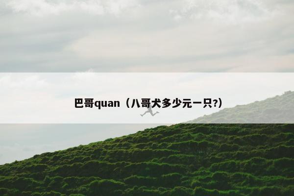巴哥quan（八哥犬多少元一只?）
