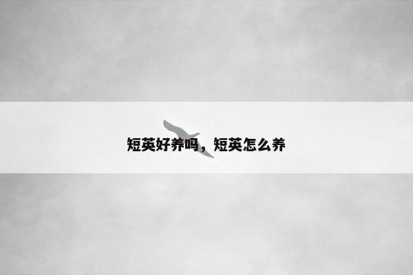 短英好养吗，短英怎么养