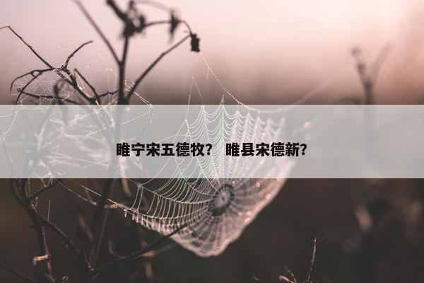 睢宁宋五德牧？ 睢县宋德新？