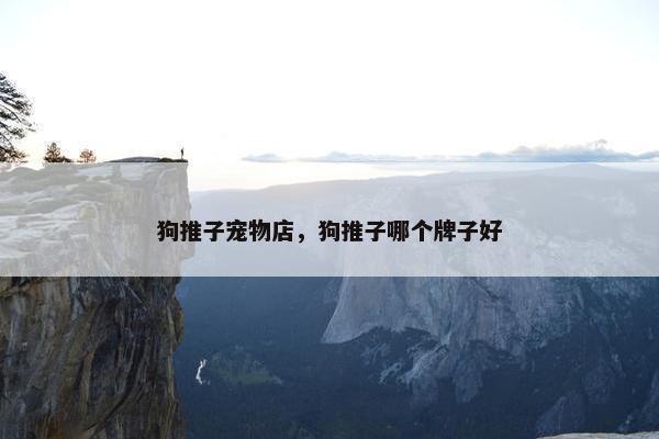 狗推子宠物店,狗推子哪个牌子好