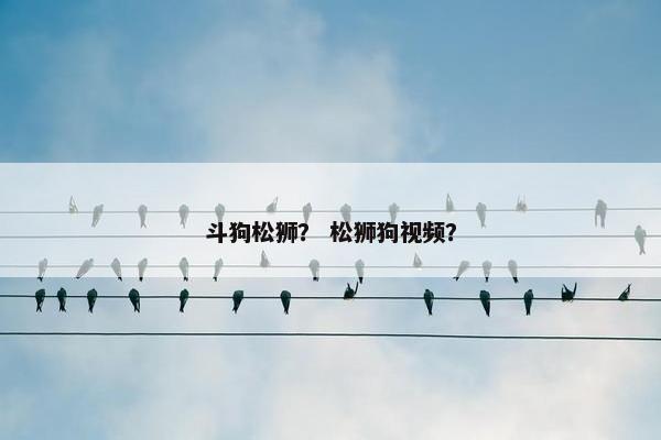 斗狗松狮? 松狮狗视频?