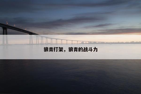 狼青打架，狼青的战斗力