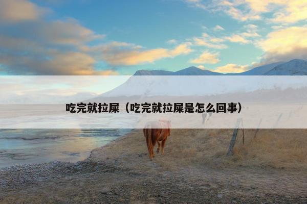 吃完就拉屎（吃完就拉屎是怎么回事）