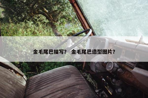 金毛尾巴描写？ 金毛尾巴造型图片？