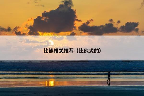 比熊相关推荐（比熊犬的）