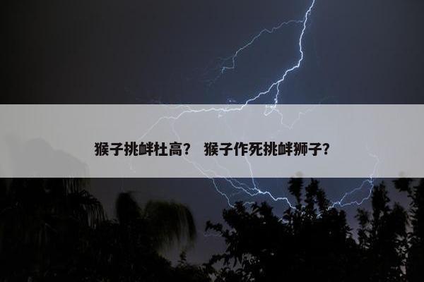 猴子挑衅杜高？ 猴子作死挑衅狮子？