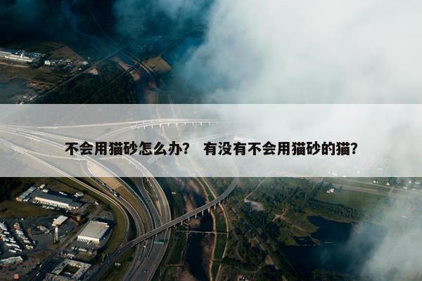 不会用猫砂怎么办? 有没有不会用猫砂的猫?