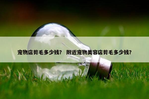 宠物店剪毛多少钱？ 附近宠物美容店剪毛多少钱？