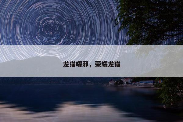 龙猫曜邪,荣耀龙猫 龙猫曜邪,荣耀龙猫