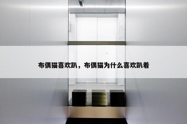 布偶猫喜欢趴，布偶猫为什么喜欢趴着