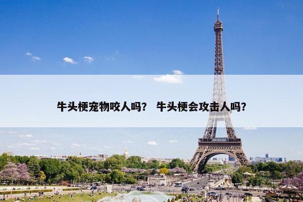 牛头梗宠物咬人吗？ 牛头梗会攻击人吗？