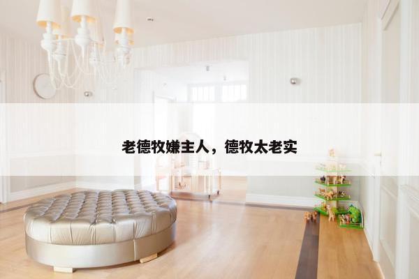 老德牧嫌主人，德牧太老实