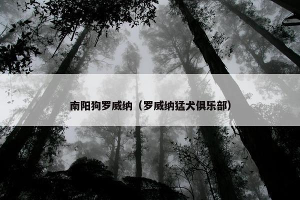 南阳狗罗威纳（罗威纳猛犬俱乐部）