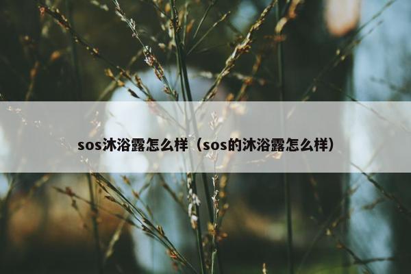 sos沐浴露怎么样（sos的沐浴露怎么样）