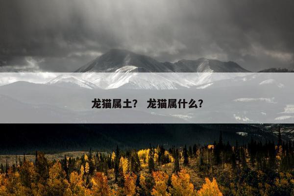 龙猫属土？ 龙猫属什么？