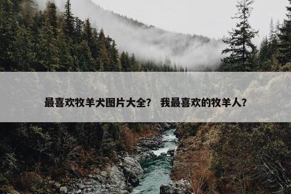 最喜欢牧羊犬图片大全？ 我最喜欢的牧羊人？