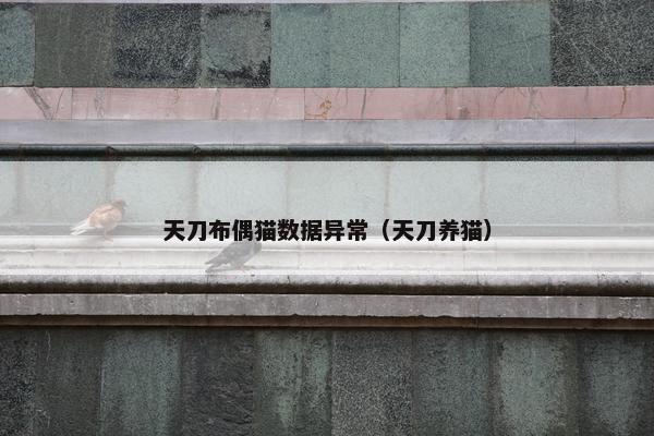 天刀布偶猫数据异常（天刀养猫）