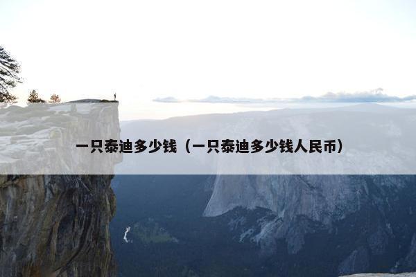 一只泰迪多少钱（一只泰迪多少钱人民币）