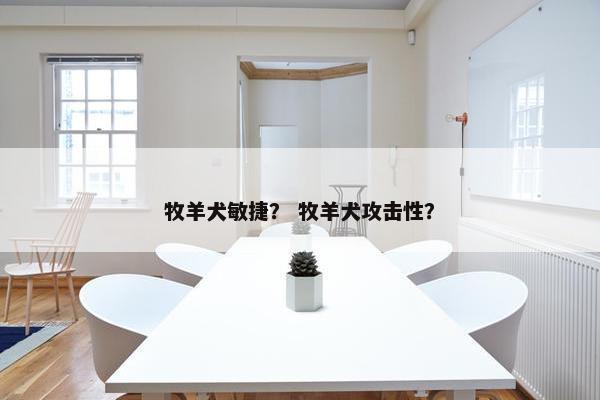 牧羊犬敏捷？ 牧羊犬攻击性？