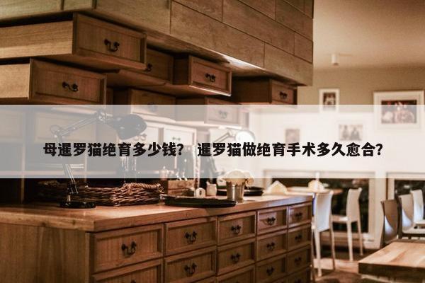 母暹罗猫绝育多少钱？ 暹罗猫做绝育手术多久愈合？