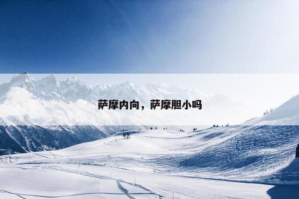 萨摩内向，萨摩胆小吗