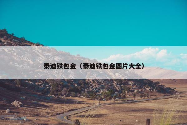 泰迪铁包金（泰迪铁包金图片大全）