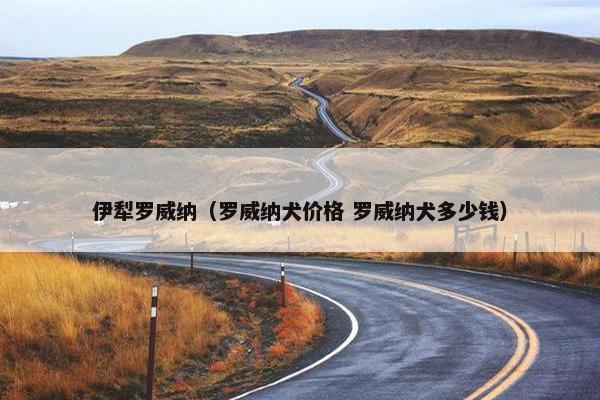 伊犁罗威纳（罗威纳犬价格 罗威纳犬多少钱）