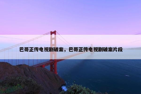 巴哥正传电视剧破案，巴哥正传电视剧破案片段