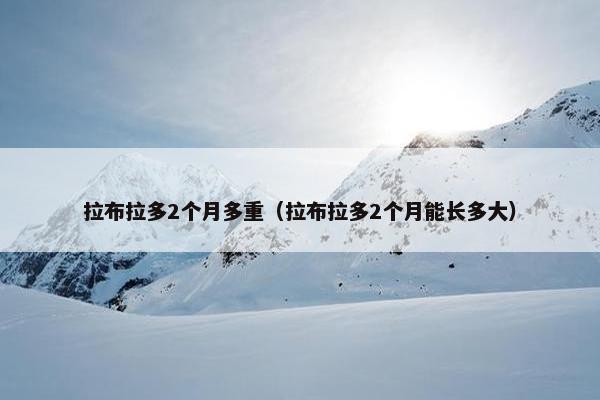 拉布拉多2个月多重(拉布拉多2个月能长多大)