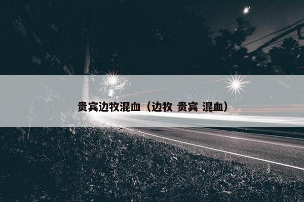 贵宾边牧混血(边牧 贵宾 混血)