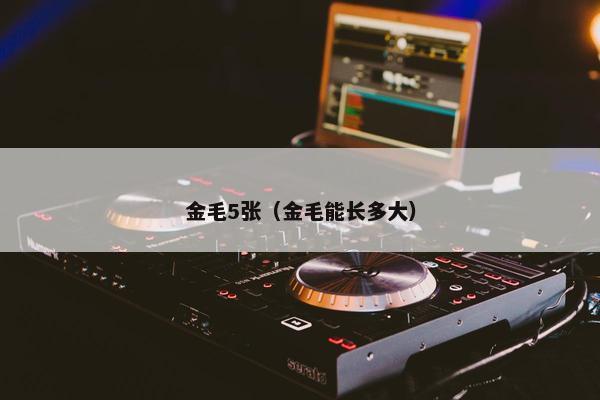 金毛5张(金毛能长多大) 金毛5张(金毛能长多大)