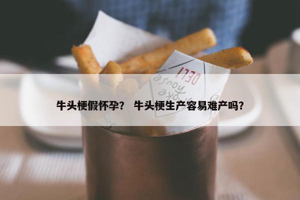 牛头梗假怀孕？ 牛头梗生产容易难产吗？