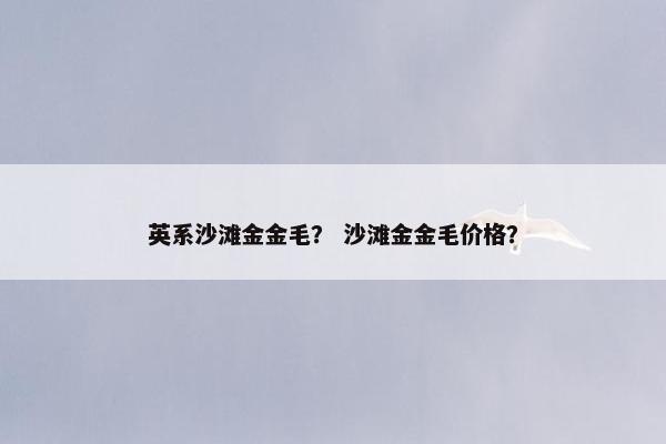 英系沙滩金金毛? 沙滩金金毛价格?