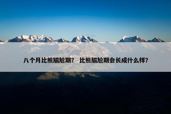 八个月比熊尴尬期？ 比熊尴尬期会长成什么样？