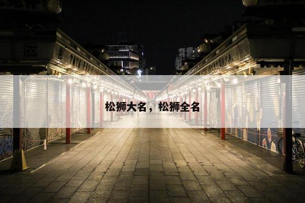 松狮大名,松狮全名 松狮大名,松狮全名