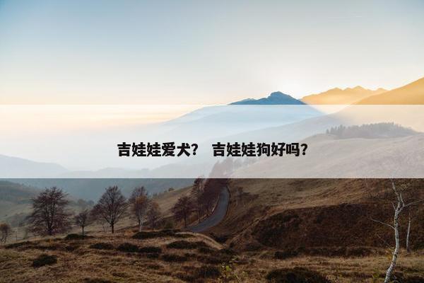 吉娃娃爱犬？ 吉娃娃狗好吗？