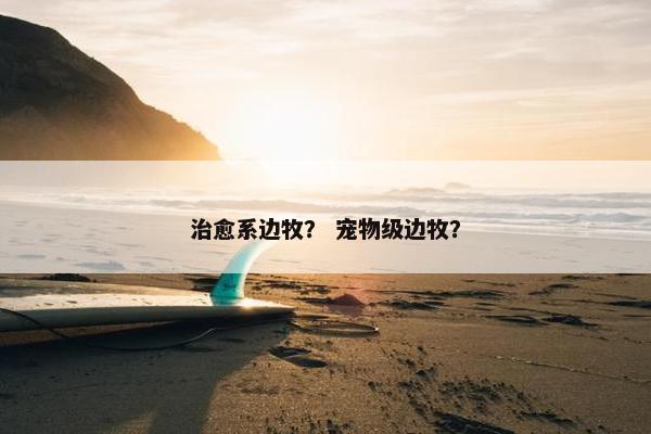治愈系边牧？ 宠物级边牧？