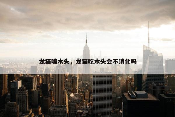 龙猫嗑木头，龙猫吃木头会不消化吗