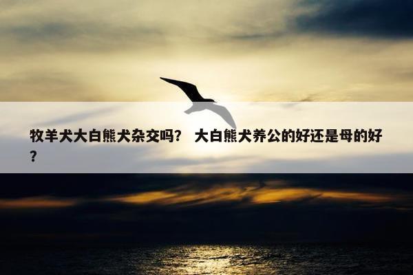 牧羊犬大白熊犬杂交吗？ 大白熊犬养公的好还是母的好？