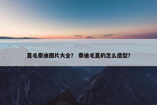 直毛泰迪图片大全? 泰迪毛直的怎么造型?