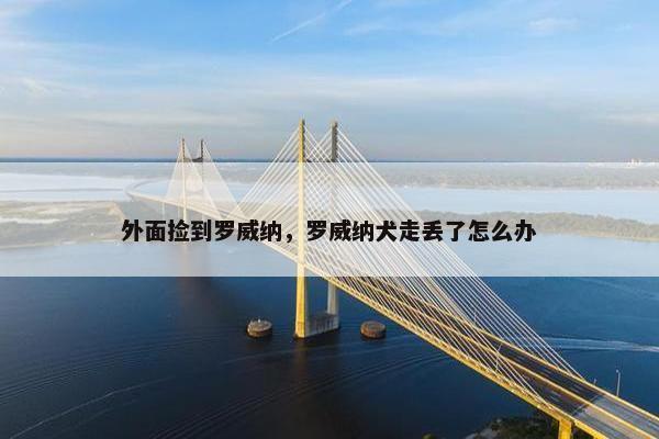 外面捡到罗威纳，罗威纳犬走丢了怎么办