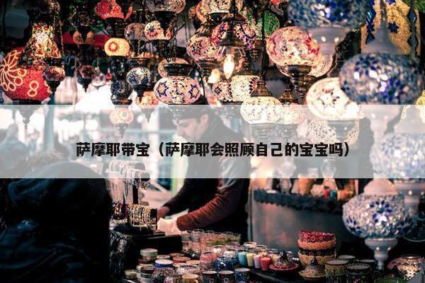 萨摩耶带宝（萨摩耶会照顾自己的宝宝吗）