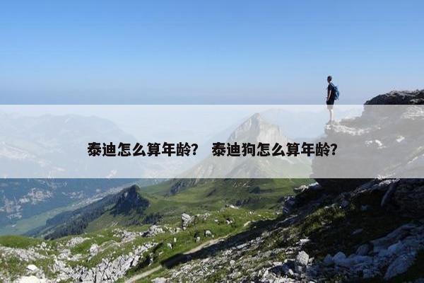 泰迪怎么算年龄? 泰迪狗怎么算年龄?